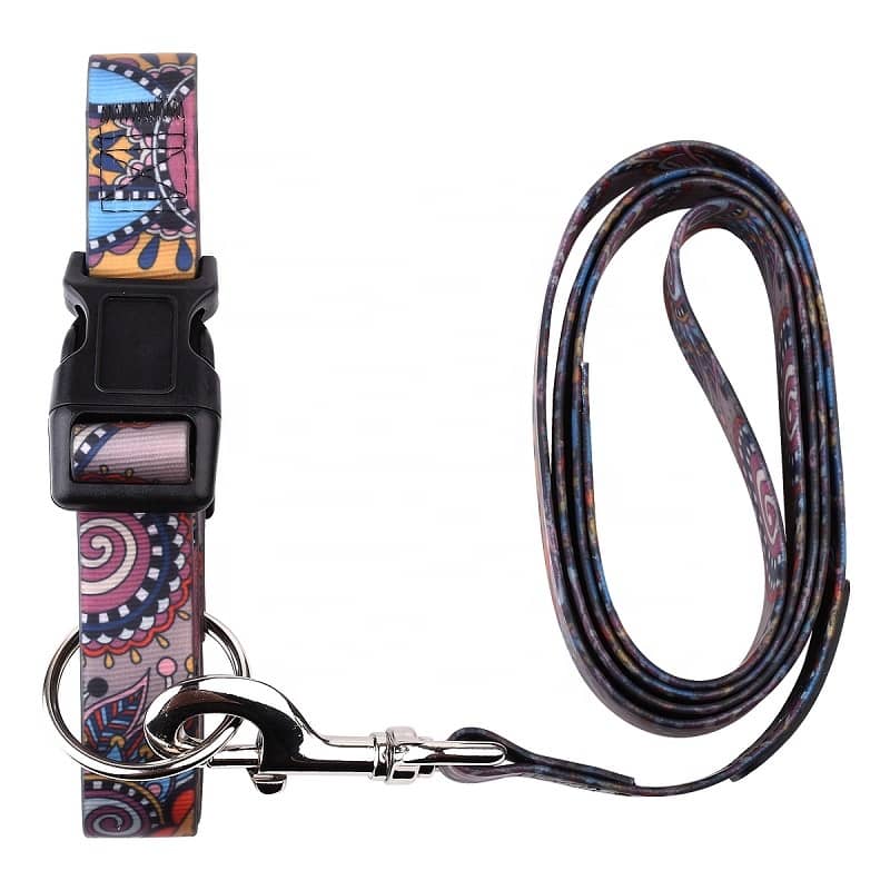 Dog Accessories